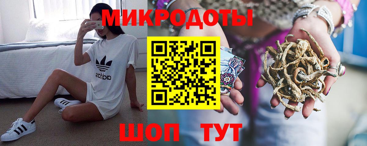 Горно-Алтайск  Галлюциногенные грибы Psilocybe  что такое   Вход с VPN  Псилоцибиновые грибы Psilocybine cubensis 